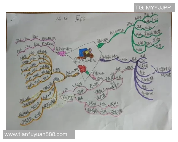 广州极限运动队的节奏分析与成败反思探讨