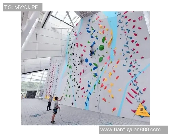 杭州攀岩队运营革新探索：提升竞技水平与团队协作的新路径